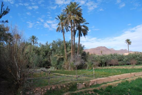 Maison d'hote chez marir Hotel Tineghir Riad Tineghir :  loisirs